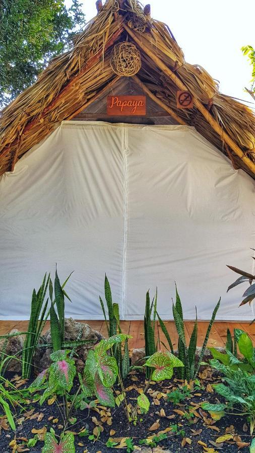 El Búho Glamping