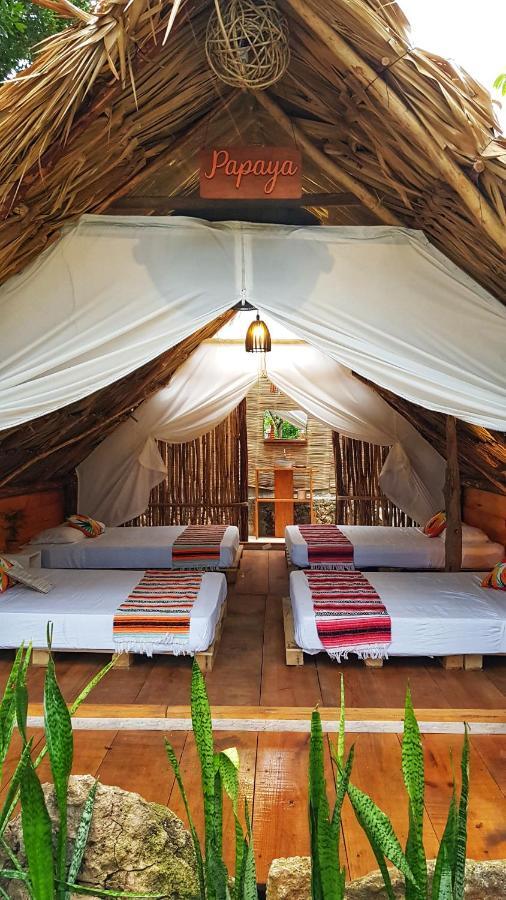 El Búho Glamping 3*