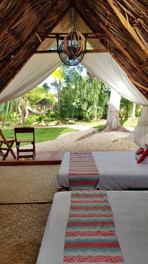 El Búho Glamping Camping